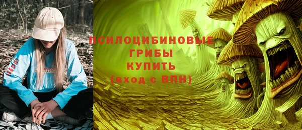 спайс Лагань