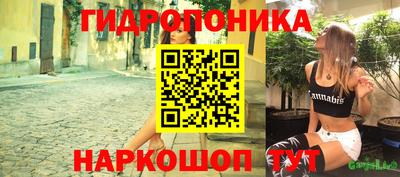 крисы Донской