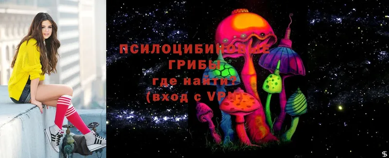 Псилоцибиновые грибы Psilocybe  что такое наркотик  Красногорск 