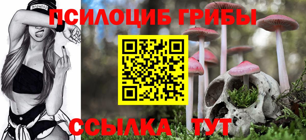 Псилоцибиновые грибы Psilocybine cubensis Красногорск