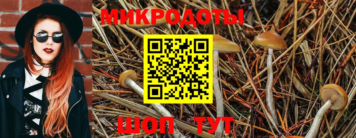 Псилоцибиновые грибы мухоморы  Галлюциногенные грибы Magic Shrooms  Красногорск  Вход с VPN 
