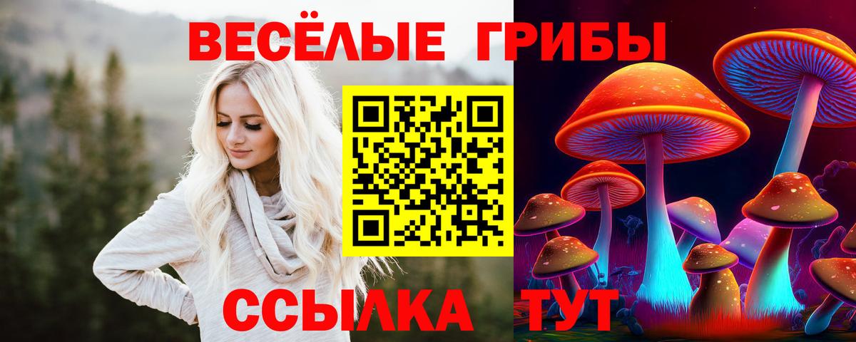 Галлюциногенные грибы Magic Shrooms Красногорск