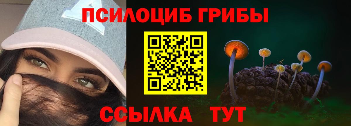 Псилоцибиновые грибы мицелий  Красногорск 