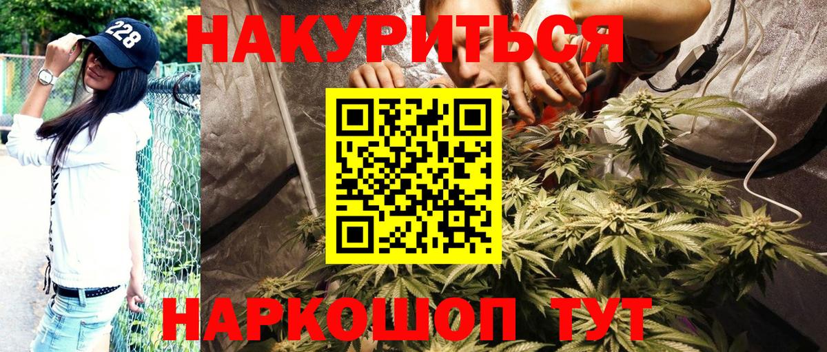 Бошки Шишки индика  Каннабис THC 21%  Канабис план  Красногорск 